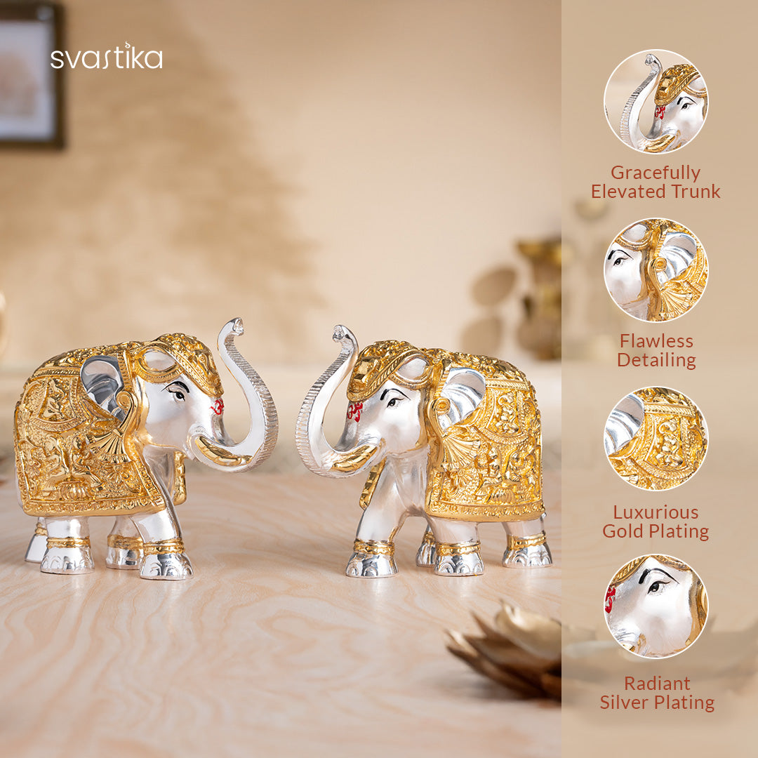 TrunkUp Vastu Elephant Pair 