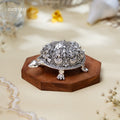  Tortoise Statue